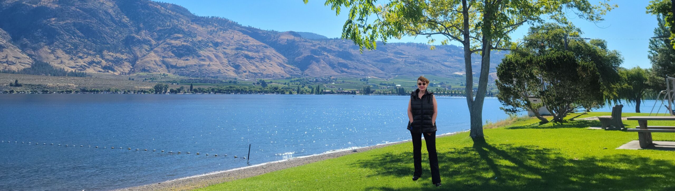 header image